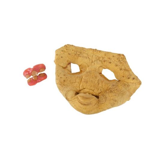 169. Zammis' (Bumper Robinson) Unpainted Facial Appliance with Drac's (Louis Gossett Jr.) Teeth ### ENEMY MINE (1985)