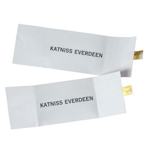 246. Pair of Katniss Everdeen's (Jennifer Lawrence) Reaping Day Name Slips ### THE HUNGER GAMES: CATCHING FIRE (2013)