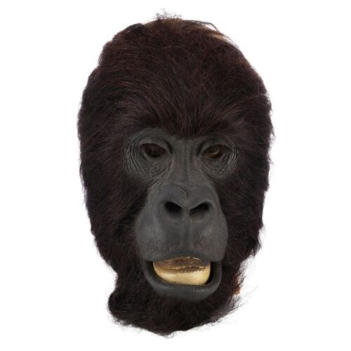 322. Joe Head Skin with Hair ### MIGHTY JOE YOUNG (1998)