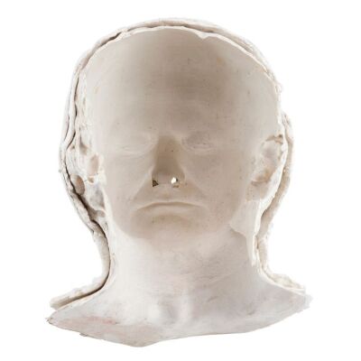 332. Daniel Hillard's (Robin Williams) Screen-Matched Face Mold ### MRS. DOUBTFIRE (1993)
