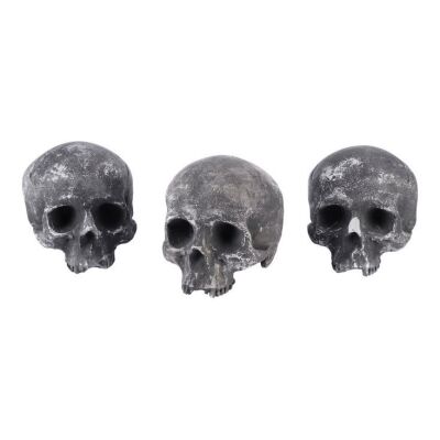 516. Set of Three Future War Skulls ### TERMINATOR 2: JUDGMENT DAY (1991)