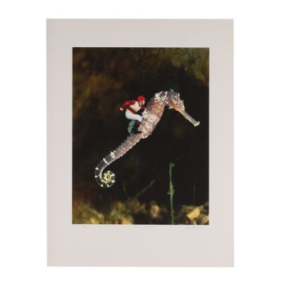 209. Ian Dury: 'Reasons 2B Cheerful', 2001 - 1/2 Artist's Proof ### STORM THORGERSON