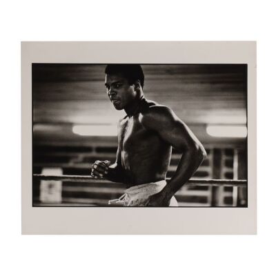 143. Muhammad Ali: 'The Rumble In The Jungle Training', Pennsylvania, USA, 1974 - Artist's Proof ### DAVID KING