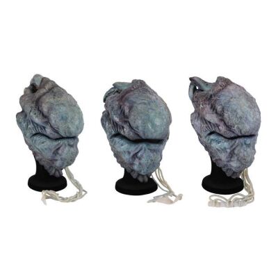 108. Set of Three Kantrofarri Dream Crab Masks ### DOCTOR WHO (TV SERIES, 2005-2022)