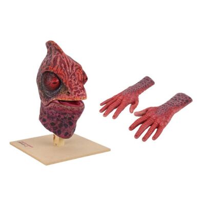 296. Interstellar Song Contest Chameleon Creature Mask and Hand Appliances ### DOCTOR WHO (TV SERIES, 2023-2025)