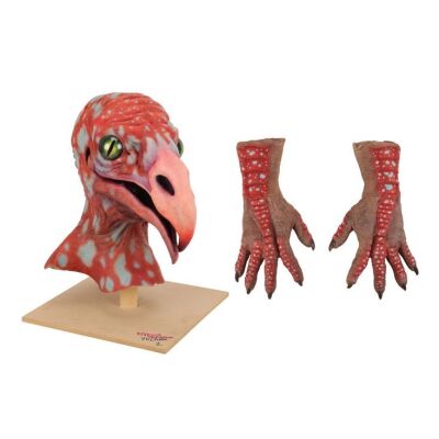 304. Interstellar Song Contest Vulture Creature Mask and Collection of Creature Hand Appliances ### DOCTOR WHO (TV SERIES, 2023-2025)