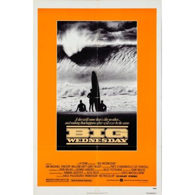 323. International One Sheet (27" x 41"); Very Fine- Folded ### BIG WEDNESDAY (1978)