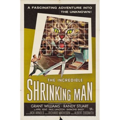 497. One Sheet (27" x 41"); Fine+ Folded ### THE INCREDIBLE SHRINKING MAN (1957)