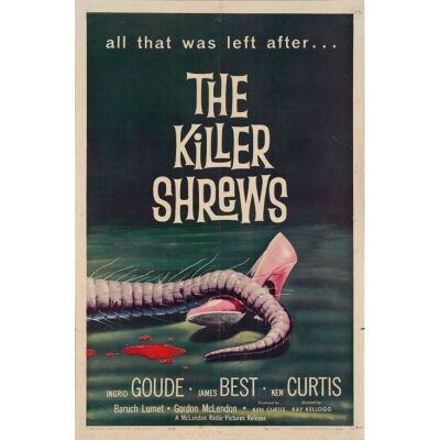 602. One Sheet (27" x 41"); The Collection of the Late J. Stephen Ryan; Fine- Folded ### THE KILLER SHREWS (1959)