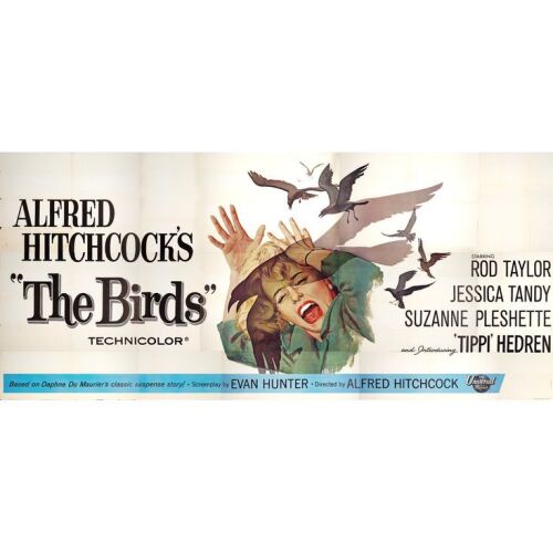 20. 24 Sheet (234" x 106"); The Collection of the Late J. Stephen Ryan; Very Fine- Folded ### THE BIRDS (1963)