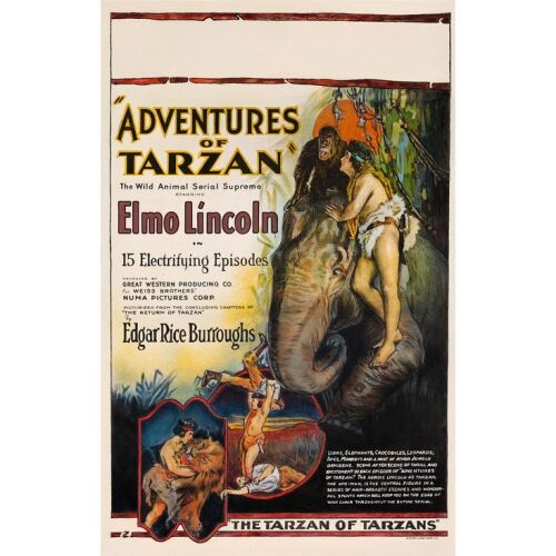 233. Window Card (14" x 22"); The Bradleigh Vinson Collection; Stone Lithograph; Very Fine- on Cardstock ### ADVENTURES OF TARZAN (1921)