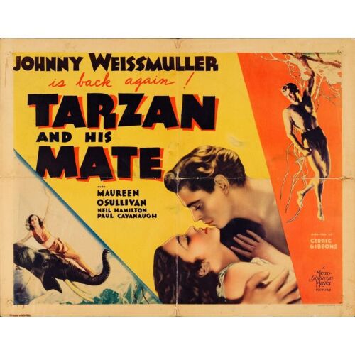 237. Half Sheet (22" x 28"); The Bradleigh Vinson Collection; Fine+ Folded ### TARZAN AND HIS MATE (1934)