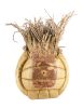 95. Chuck Noland's (Tom Hanks) Screen-Matched Wilson Volleyball ### CAST AWAY (2000)