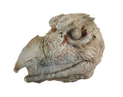 103. Production-Made SkekSil the Chamberlain (Frank Oz) Puppet Head Reference Casting ### THE DARK CRYSTAL (1982)
