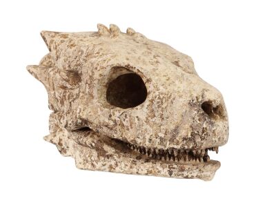 135. Baby Dragon Skull ### GAME OF THRONES (T.V. SERIES, 2011 - 2019)