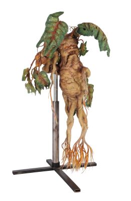 184. Mandrake Maquette ### HARRY POTTER AND THE CHAMBER OF SECRETS (2002)