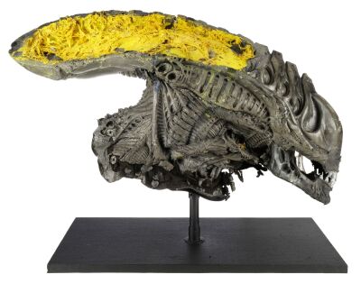 459. Bloodied Stunt Xenomorph Warrior Head ### AVPR: ALIENS VS. PREDATOR - REQUIEM (2007)