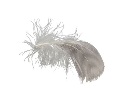 701. Forrest Gump's (Tom Hanks) Feather ### FORREST GUMP (1994)