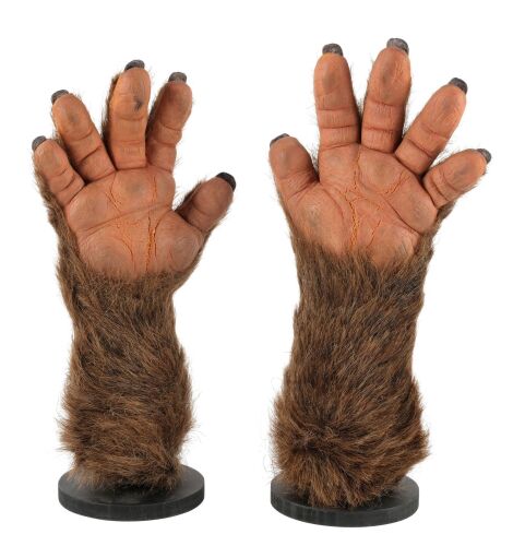 851. Peter Shepherd's (Bradley Pierce) Monkey Arm Appliances ### JUMANJI (1995)