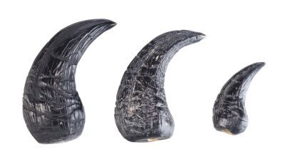 858. Set of Three Dilophosaurus Claws ### JURASSIC PARK (1993)