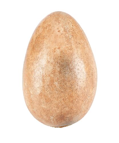 862. Velociraptor Egg ### JURASSIC PARK III (2001)