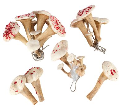 988. Set of Three Bliss Mushroom Bouquets ### THE PENGUIN (T.V. SERIES, 2024)