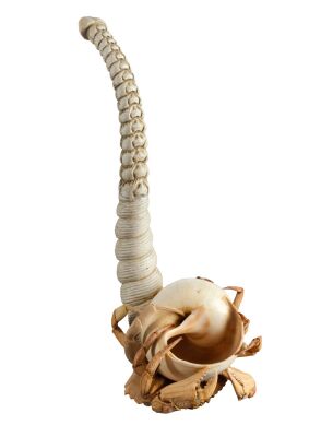 1030. Davy Jones' (Bill Nighy) Pipe Concept Model ### PIRATES OF THE CARIBBEAN: DEAD MAN'S CHEST (2006)/PIRATES OF THE CARIBBEAN: AT WORLD'S END (2007)