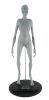 1092. Full Body Alien Maquette ### SIGNS (2002)