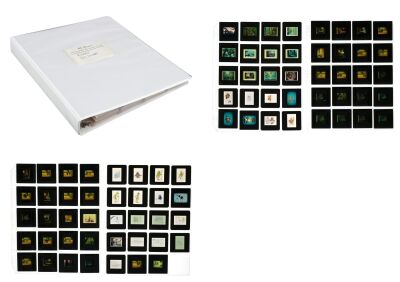 1194. Collection of 79 Production Slides ### STAR WARS: EWOKS (1985-1986)