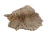 1316. Screen-Matched The Maze-Engraved Rabbit Pelt ### WESTWORLD (2016 - 2022)