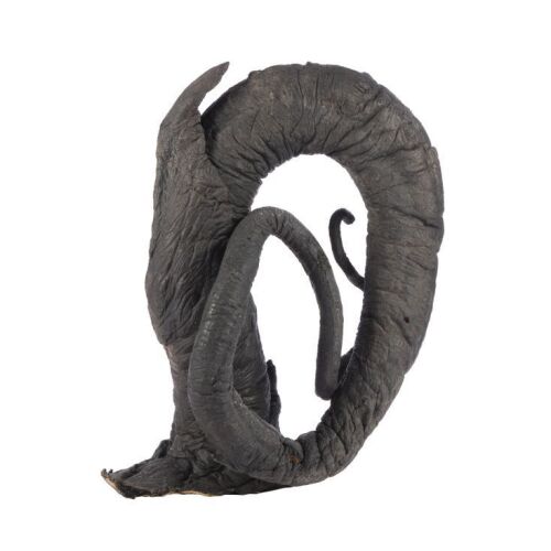 167. Devil's Snare Tendril ### HARRY POTTER AND THE PHILOSOPHER'S STONE (2001)