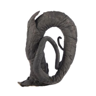 167. Devil's Snare Tendril ### HARRY POTTER AND THE PHILOSOPHER'S STONE (2001)