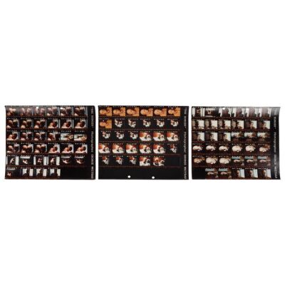 191. Set of Three Contact Sheets ### HUNGER, THE (1983)