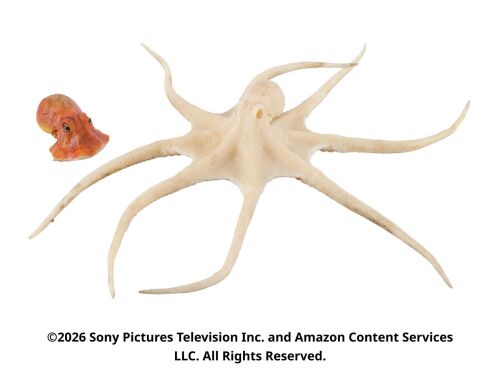 Lot #219: Timothy the Octopus Head and Timothy Reference Model ### THE BOYS (T.V. SERIES, 2019 - 2026)