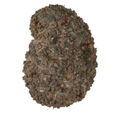 110. Full-Size Antarean Cocoon ### COCOON (1985)