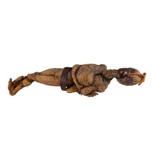 429. Full-Size Captive Mugwump Puppet ### NAKED LUNCH (1991)