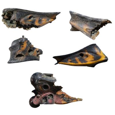 571. Set of Five Full-Size Bloodied Bullet-Riddled Arachnid Warrior Head and Body Chunks ### STARSHIP TROOPERS (1997)