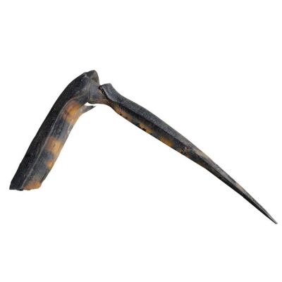 573. Full-Size Arachnid Warrior Front Leg Tip ### STARSHIP TROOPERS (1997)