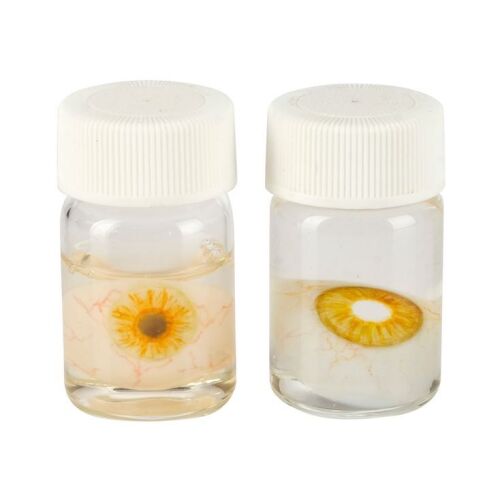 4. Jeffrey Goines' (Brad Pitt) Pair of Cross-Eyed Contact Lenses ### 12 MONKEYS (1995)