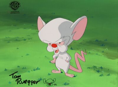 6. Brain Original Production Cel on Hand-Painted Key Master Production Background Signed by Tom Ruegger, Creator of Pinky and the Brain ### FREAKAZOID! (TV SERIES, 1995-1997)