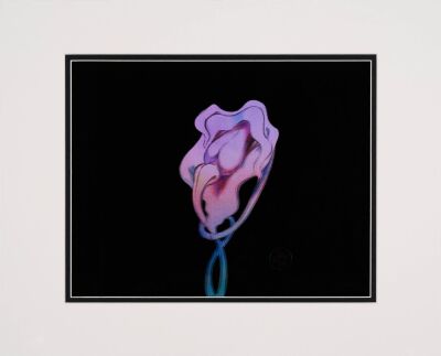 380. The Fornicating Flowers Original Rendering and Production Cel Overlay, Matted ### PINK FLOYD: THE WALL (1982)
