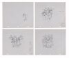 388. Ren and Stimpy Set of 4 Original Production Drawings ### REN AND STIMPY (TV SERIES, 1991-1996)