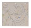 508. Super Gogeta Douga Drawing ### DRAGON BALL Z: FUSION REBORN (1995)