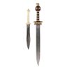 132. Maximus Decimus Meridius' Stunt Arena Gladius and Lucius Verus' (Paul Mescal) Stunt Dagger ### GLADIATOR II (2024)