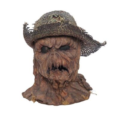 140. "Scarecrow Walks at Midnight" Scarecrow Mask ### GOOSEBUMPS (T.V. SERIES, 1995 - 1998)