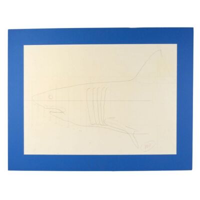186. Planet Hollywood Collection: Matted Hand-Drawn Bruce the Shark Layout Drawing ### JAWS (1975)