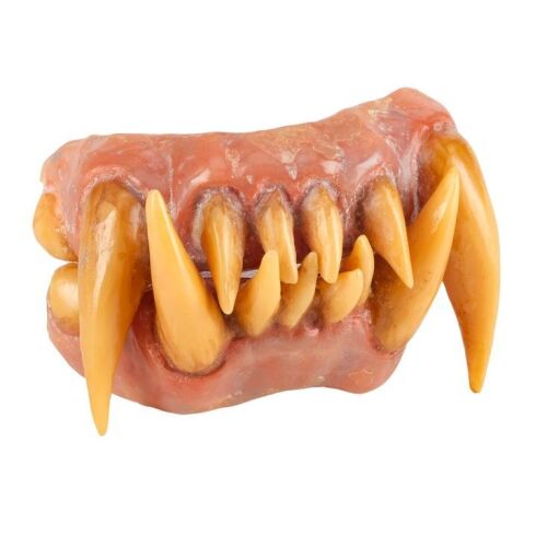 242. Rick Baker Collection: Michael's (Michael Jackson) Werecat Teeth ### MICHAEL JACKSON: THRILLER