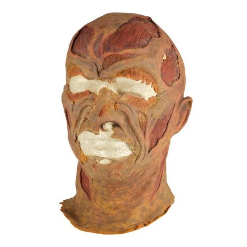 260. Tony Cecere-Autographed Freddy Krueger Stunt Mask ### WES CRAVEN'S NEW NIGHTMARE (1994)