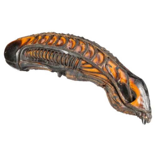 451. Xenomorph Warrior Head ### ALIEN WAR (ATTRACTION, 1992)