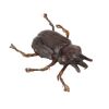879. Pankot Palace Banquet Beetle ### INDIANA JONES AND THE TEMPLE OF DOOM (1984)